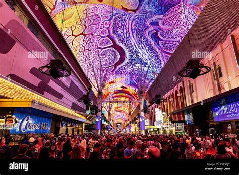 Experience Las Vegas Hotels, Shows and Casinos.